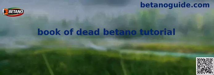 Tutorial de Book of Dead Betano